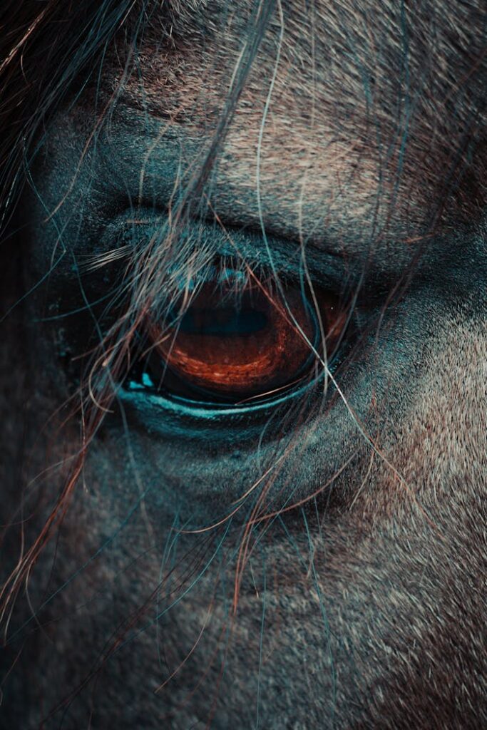 Artistic close-up of a horse's eye, highlighting the emotion and detail in dramatic lighting.